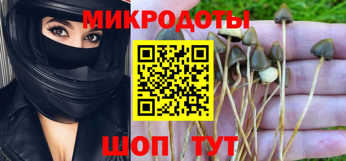 Галлюциногенные грибы GOLDEN TEACHER  где купить наркотик  Псилоцибиновые грибы Psilocybe  Уварово  Вход с VPN 